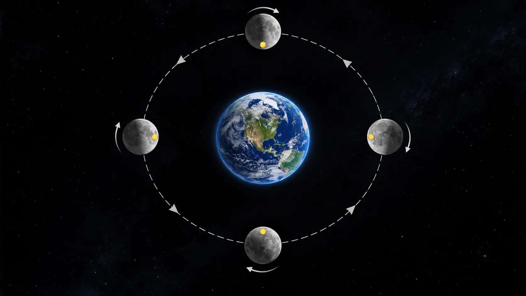 A diagram showing the Moon rotating once while orbiting Earth once, keeping the same side facing Earth.