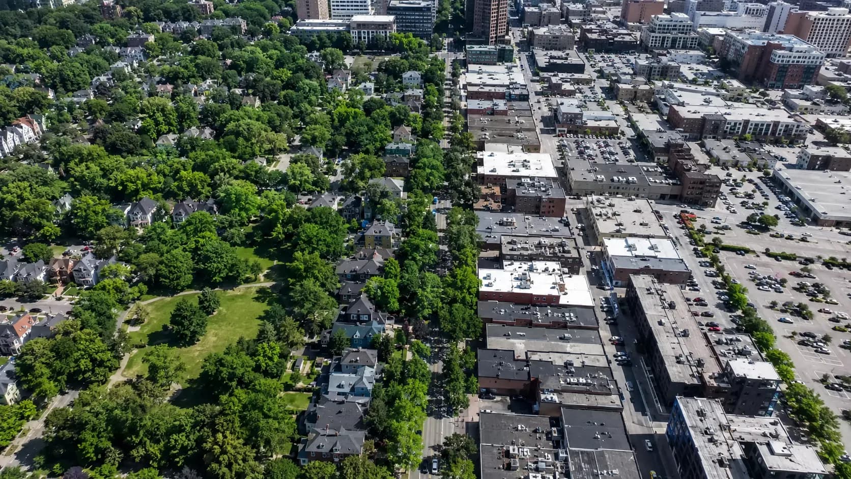 Why Cities Feel Hotter Without Trees
