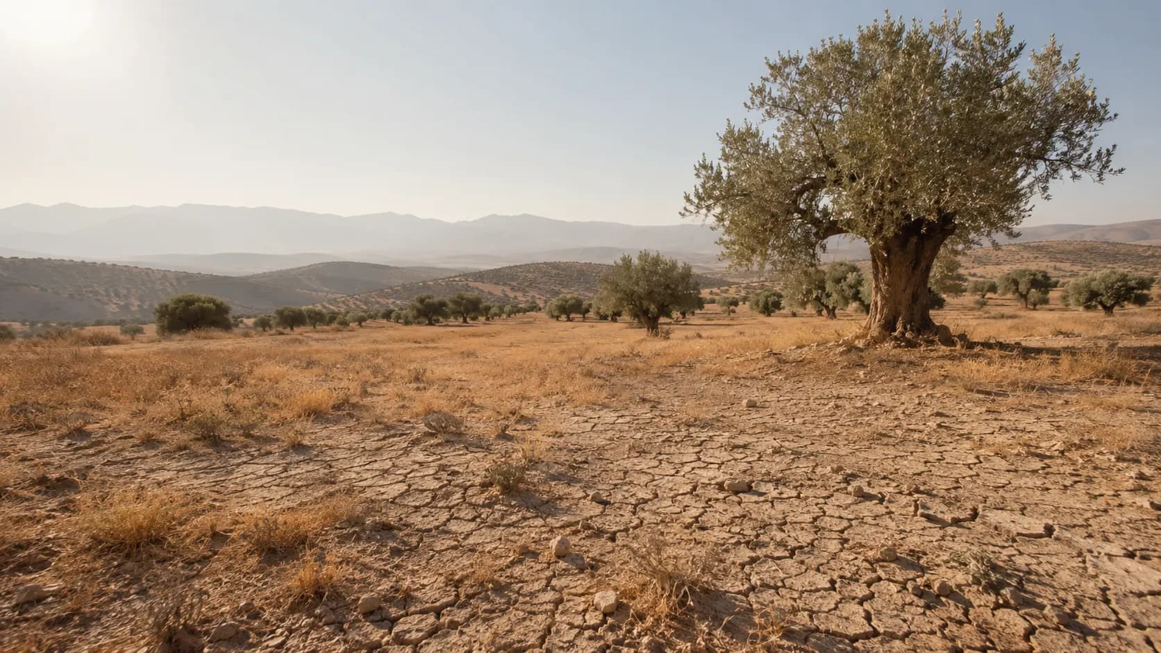 Why Is Spain Becoming Extremely Hot?